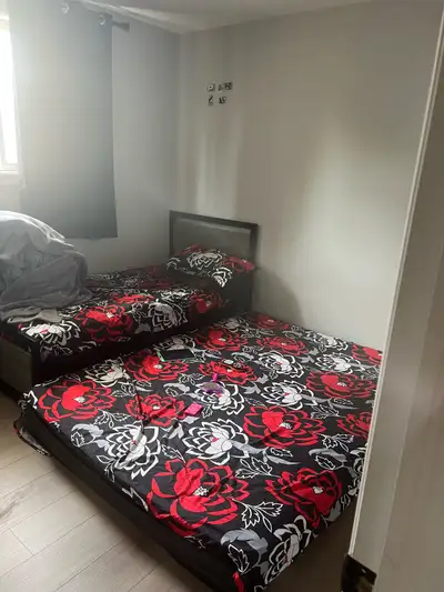 room for rent