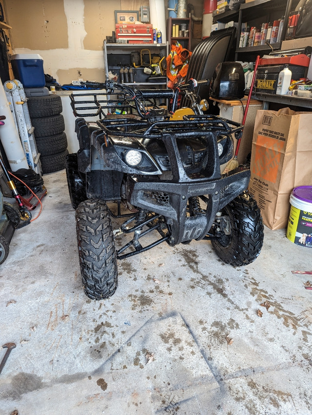 Tao Tao Bull 150D ATVs North Bay Kijiji