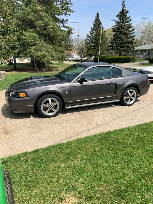 2003 Mustang Mach 1544786020042035201