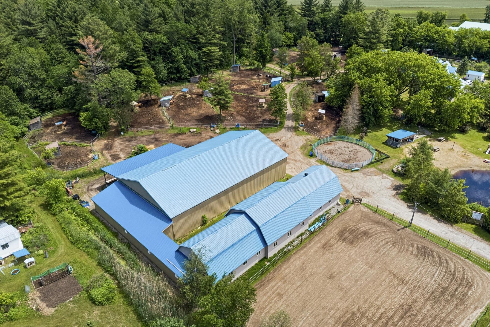 Domaine équestre clé en main avec résidence intergénérationnelle — photo 3