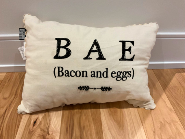 Brand New Throw Pillow BAE (Bacon And Eggs) By Urban Loft in Home Décor & Accents in Barrie