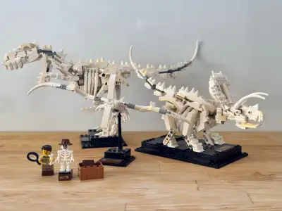 Delve into prehistoric times with this Lego Ideas Dinosaur Fossil set. This is a used set but contai...