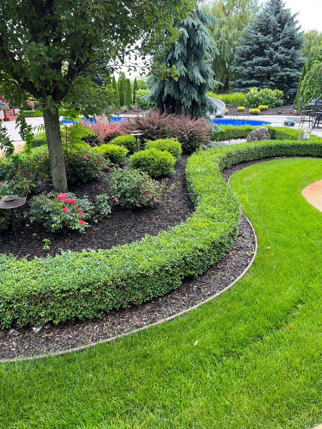  Landscaping  in Lawn, Tree Maintenance & Eavestrough in Leamington