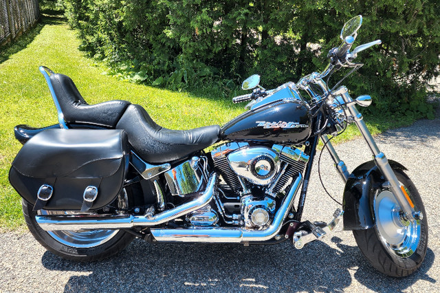 2007 Harley Davidson FXSTC Softail Montreal Low Boy in Touring in Gatineau - Image 3