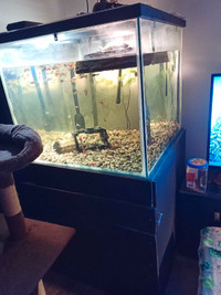 Aquarium 80 gallons 