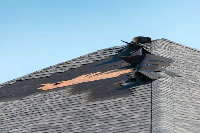 Roofing / Repair, Eaves cleaning Tree service 431-276-055163654774372481122