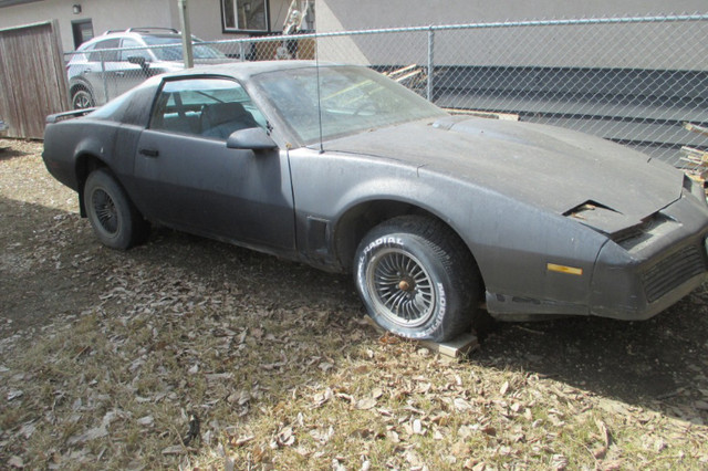 1984 Trans Am, 305 V8, auto in Classic Cars in Regina