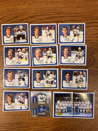 Lot of 13 1988-89 Panini Buffalo Sabres hockey stickers
