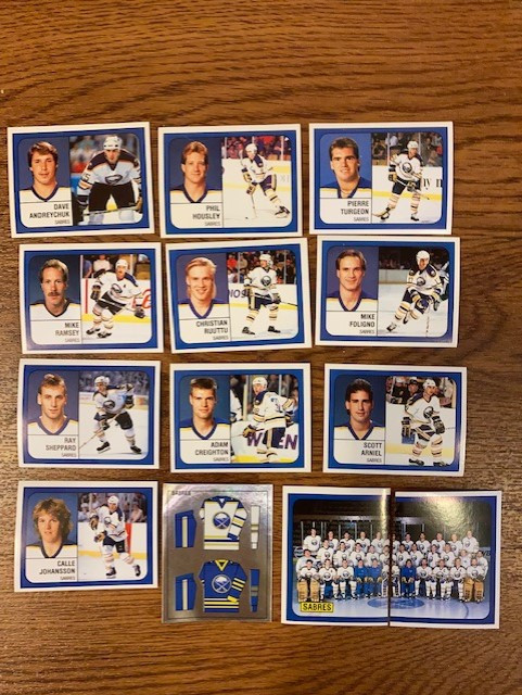 Lot of 13 1988-89 Panini Buffalo Sabres hockey stickers in Hobbies & Crafts in City of Toronto