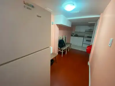 Beautiful One bedroom basement available from June 1st.
