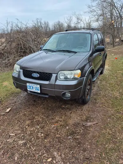 2006 Ford Escape 3.0L AWD. Was daily driven until recently. New alternator, tune up, u-joints, all b...