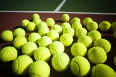 If you need used tennis balls, you've come to the right place! I am selling used tennis balls for 50...