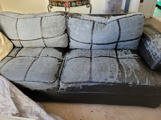 Free couch and loveseat in Free Stuff in Winnipeg - Image 3