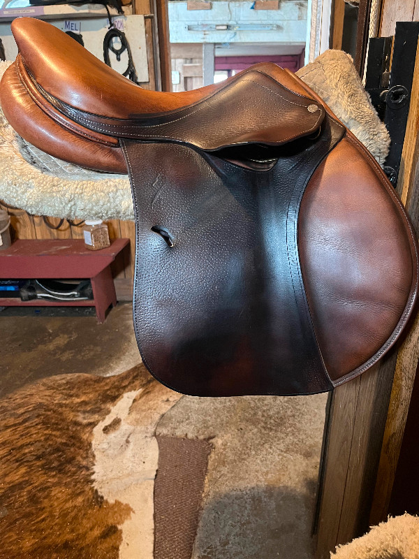 Antares Jump Saddle in Other in Delta/Surrey/Langley