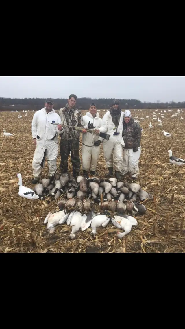 Fall Snow Goose Hunts421186770316175361