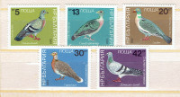 BULGARIA.Set de 5 Timbres MINT BIRDS/OISEAUX,1984.