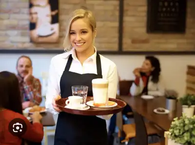 Mediterranean Restaurant looking for server , View more