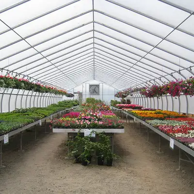Westland 30 x 100 Greenhouse with fans, gas heaters, and lights, View more