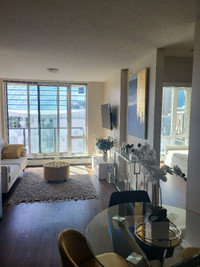 Furnished 2 Bed 1 Bath Condo with Breathtaking downtown views