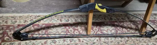 Barnett Lil Banshee Bow in Other in Calgary - Image 4