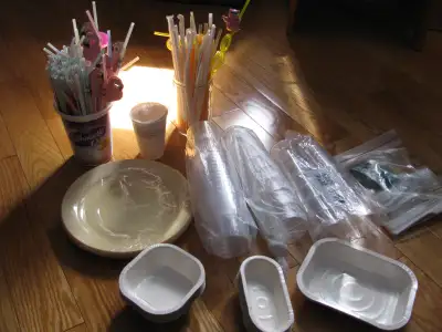 Lot de vaisselle jetable, View more