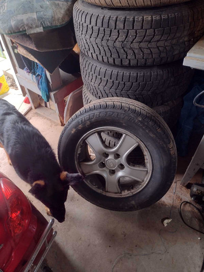 Used summer tires with rims