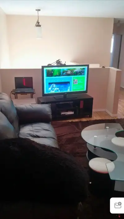 Looking for a working roommate (male or female) to rent two bedrooms upstairs in my 4 bedroom duplex...