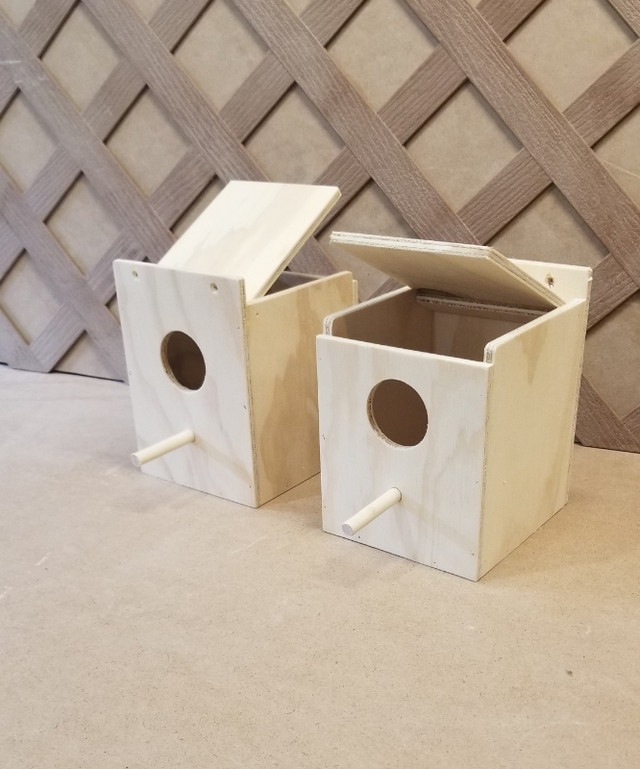 Nest boxes in Birds for Rehoming in Calgary - Image 4