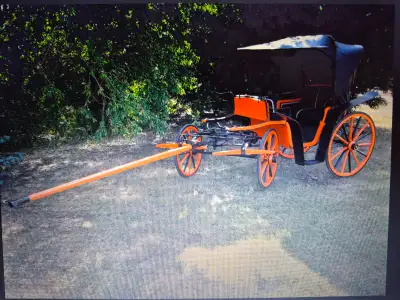 carriage, horse cart,, View more