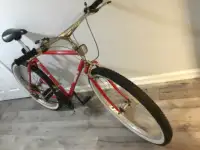Steel frame bike for sale