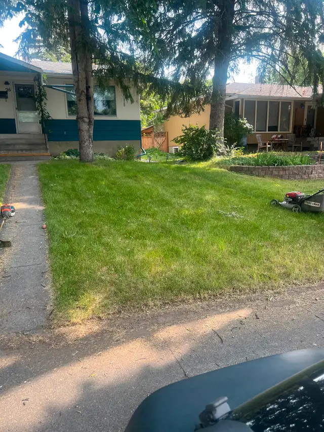 Lawn mowing 50 ,yard clean up, SOD installation, pressure wash63235196032641121