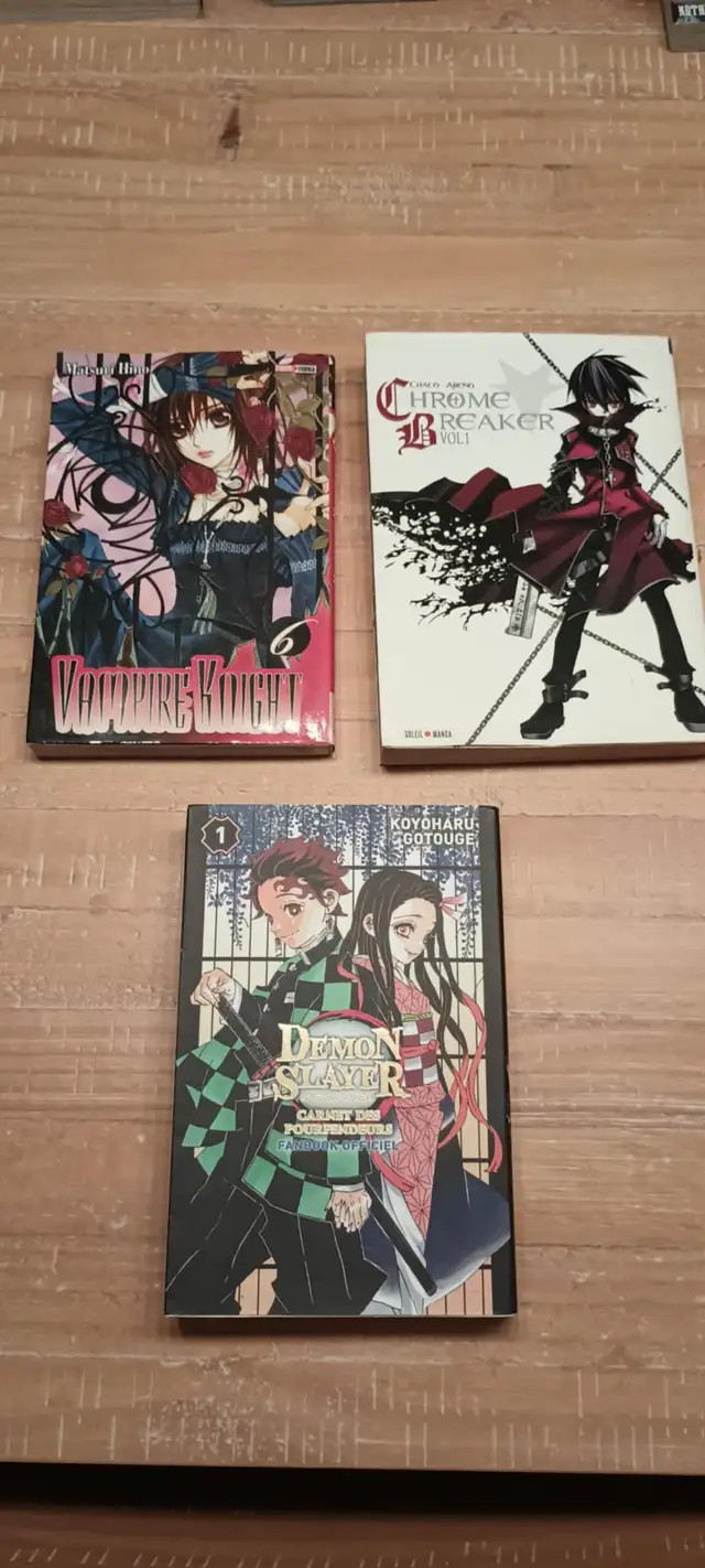 mangas, livre jeunesse in Children & Young Adult in Longueuil / South Shore - Image 4