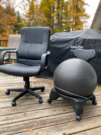 Office chairs. 1 regular pleather chair and one ergo ball chair.