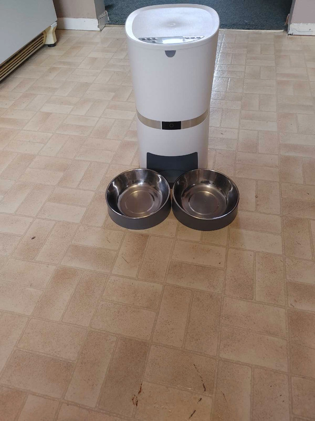 Automatic Pet Feeder in Accessories in Peterborough