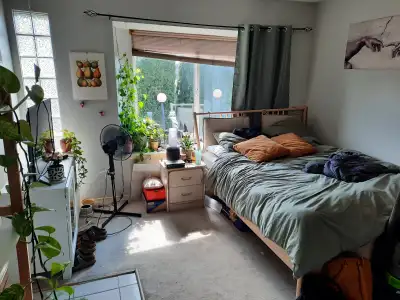 Ground level studio/bachelor suite