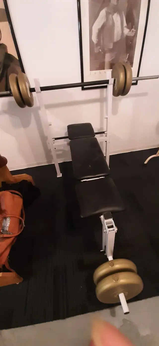 WEIGHT BENCH AND WEIGHTS63683058499969120