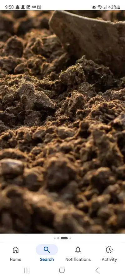 Composted cow manure , View more