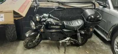 Daymak Rebel, View more