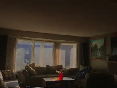 Bright room available in Lower Sahali for rent starting March 1st (one year lease). Great central lo...