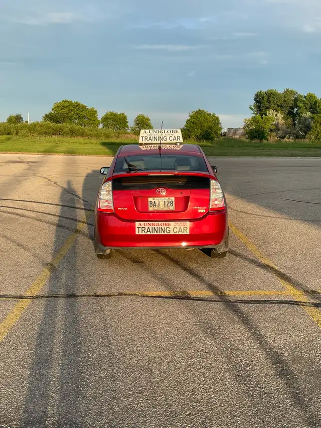 Driving Lessons65585447918209123