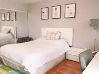 Clean and bright room (North york, female house)