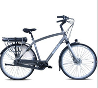 bicycle for adult, infinity, grey color