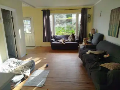 Hi everyone! I’m looking for a wonderful female roommate to move into my home starting October 1st....