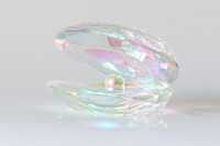 Oleg Cassini Iridescent Crystal Oyster with Pearl  inside