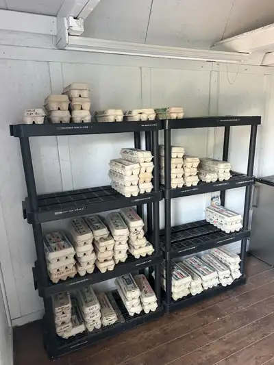 Golf Balls - Used - Picton - Self Serve Pickup , View more