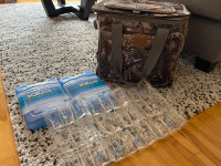 Picnic basket with ice packs