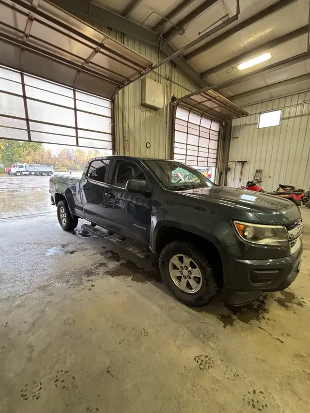 2019 Chevy Colorado WT Crew Cab591903107255511042