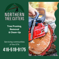 Tree Removal and Pruning Services 