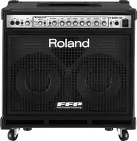 Roland D Bass 210 Amp for trade