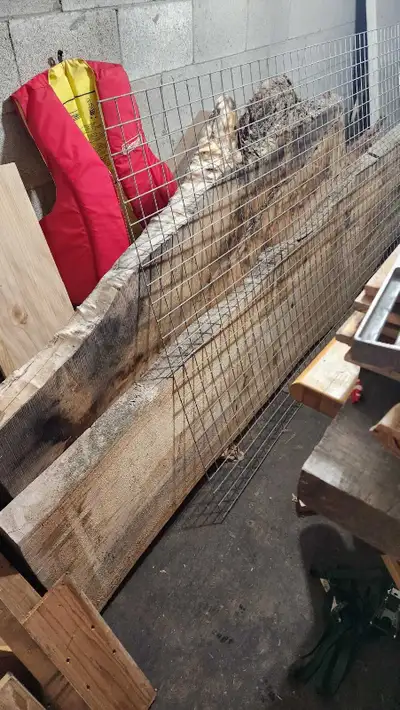 I have various tools, materials, solid woods, old pane windows.. live edge slabs small and large .....